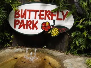 butterflypark