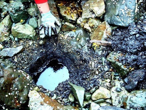 Exxon Valdez oil pocket.