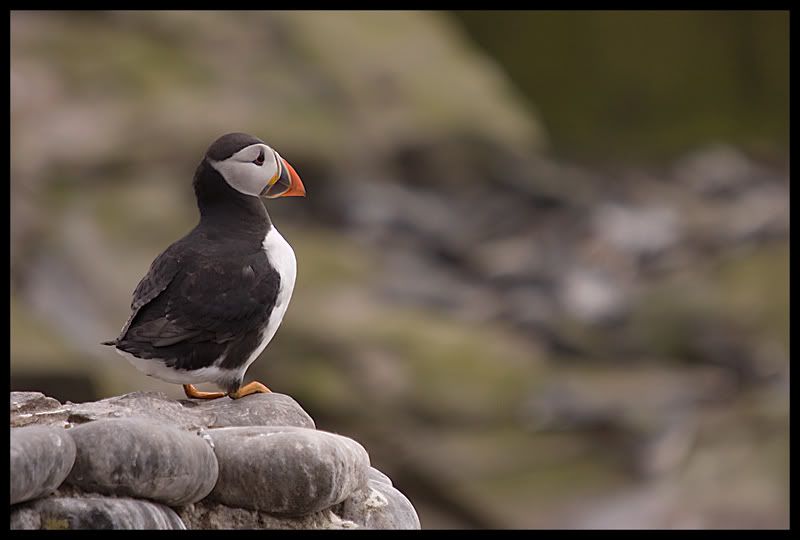 IMAGE: http://i108.photobucket.com/albums/n35/hyponotic63/IMG_0076.jpg