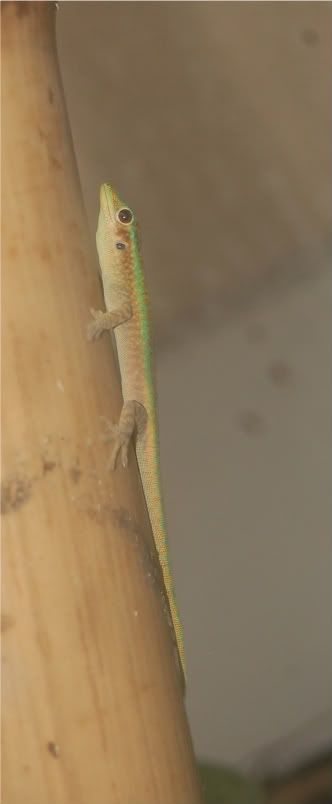 DSC_0928.jpg