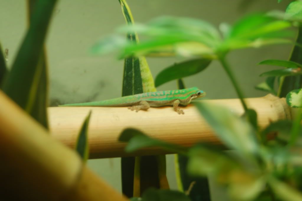 DSC_3273.jpg