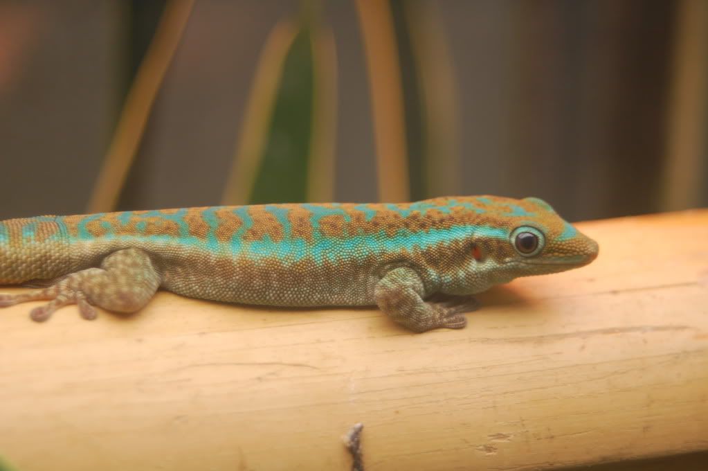 DSC_3292.jpg