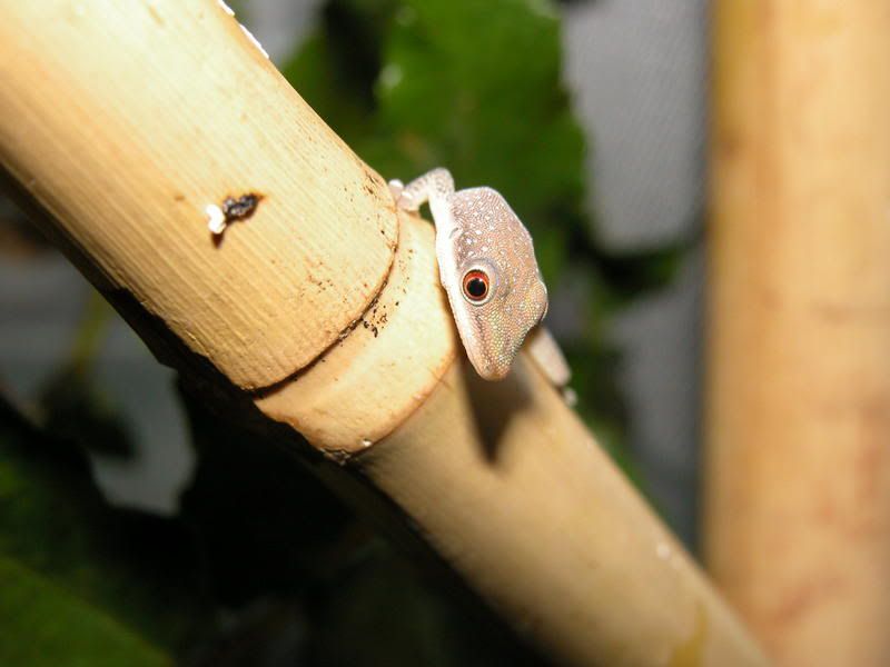 DSCN4908.jpg