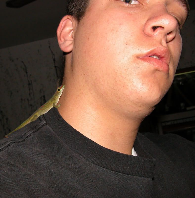 DSCN6905.jpg