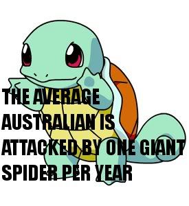 australian_spider.jpg