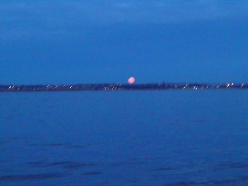 P11-04-09_055701.jpg