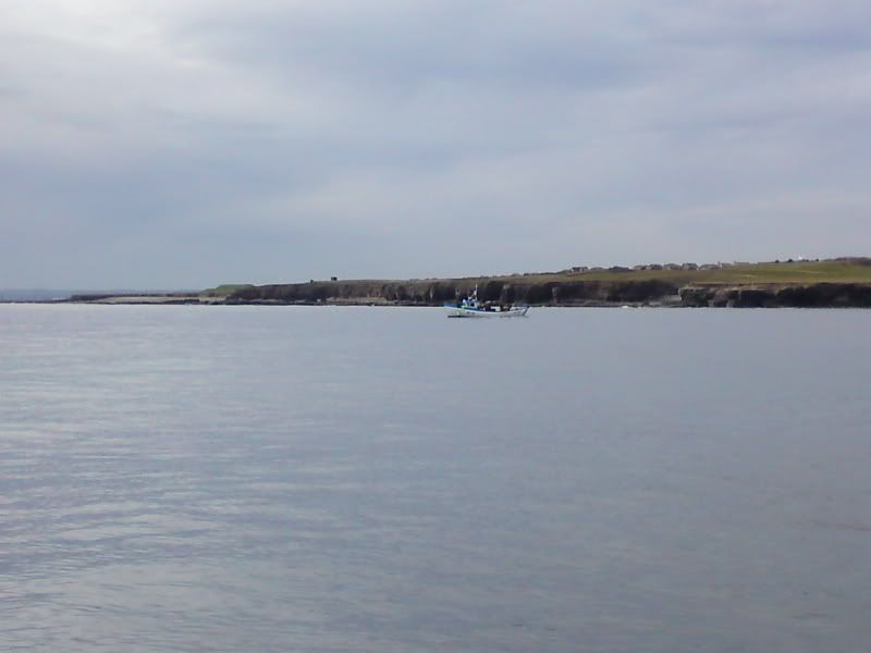P11-04-09_094701.jpg