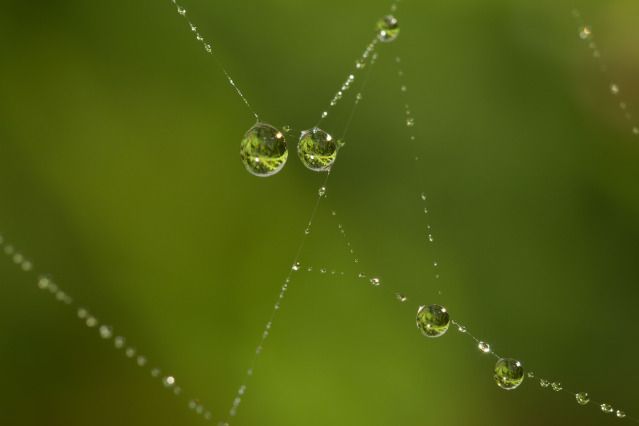 IMAGE: http://i108.photobucket.com/albums/n39/pumba1906/IMG_0813.jpg