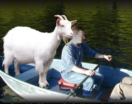Goat Boat