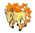 rapidash.jpg