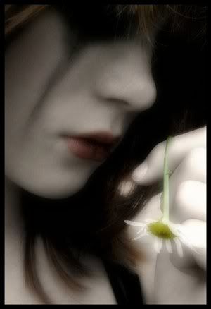 Death_of_a_Daisy_by_Photo_Eyes.jpg
