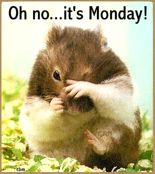 OH NO - MONDAY Pictures, Images and Photos