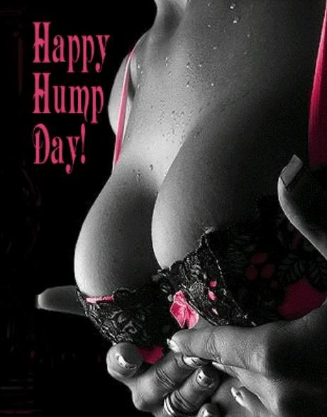 happy hump sex