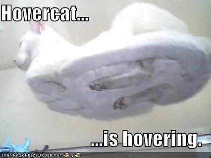 128338636875781250hovercat1.jpg