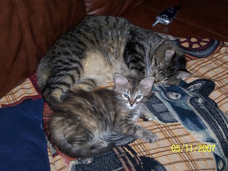 http://i108.photobucket.com/albums/n7/ferris209/Family/102_1821Medium.jpg