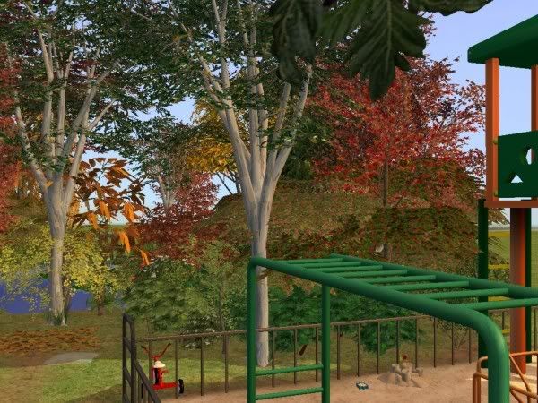 snapshot_95c43ae4_d5c9cb47.jpg