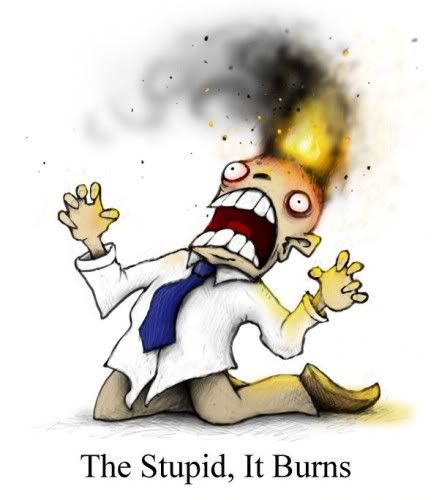 the-stupid-it-burns-439x500.jpg