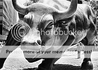 Bull - Miami Condo Market