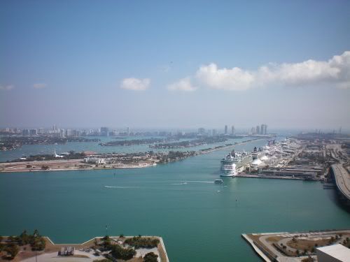 Downtown Miami condos view