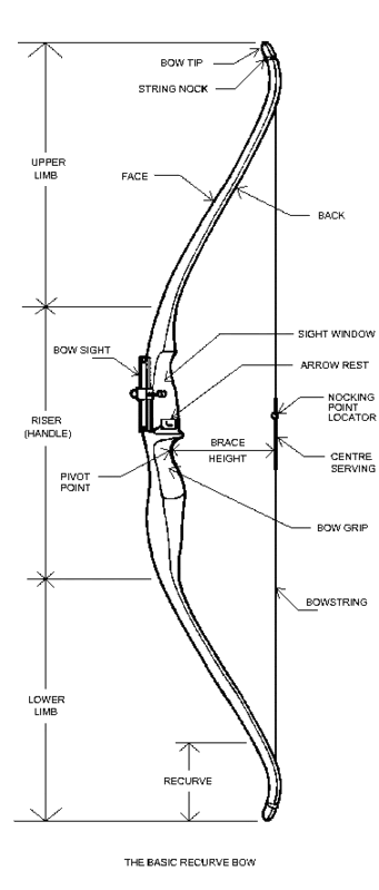 Someone just gave me a 36# recurve bow