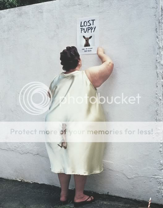 lost_puppy.jpg
