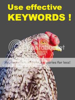 Happy Roosters SELLING SUCCESS & KEYWORDS combo on CD  