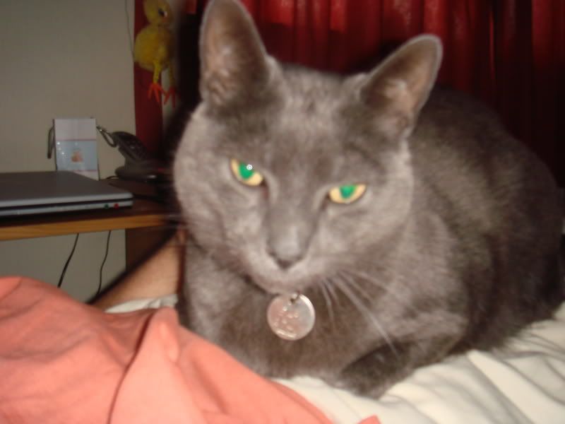 DSC00297.jpg