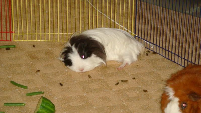 DSC00573.jpg
