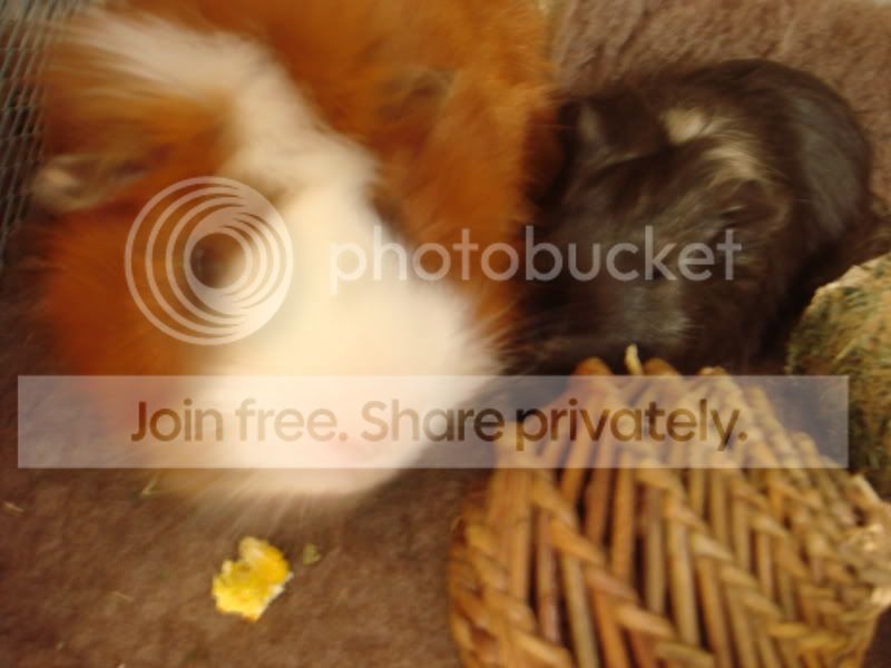 DSC02870.jpg