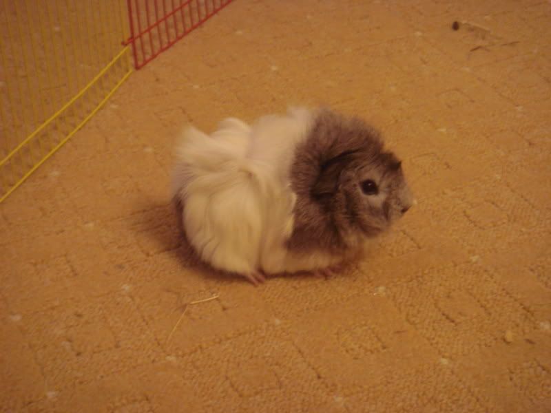 DSC02979.jpg