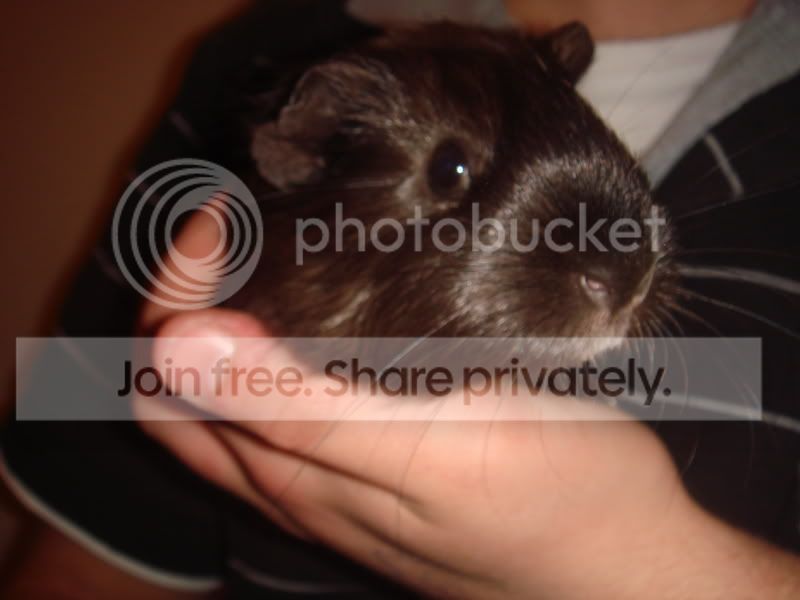 DSC03011.jpg
