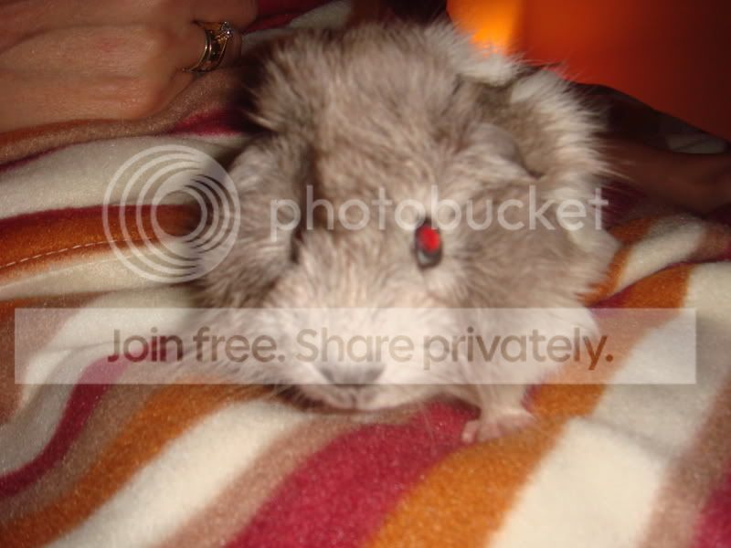 DSC03036.jpg