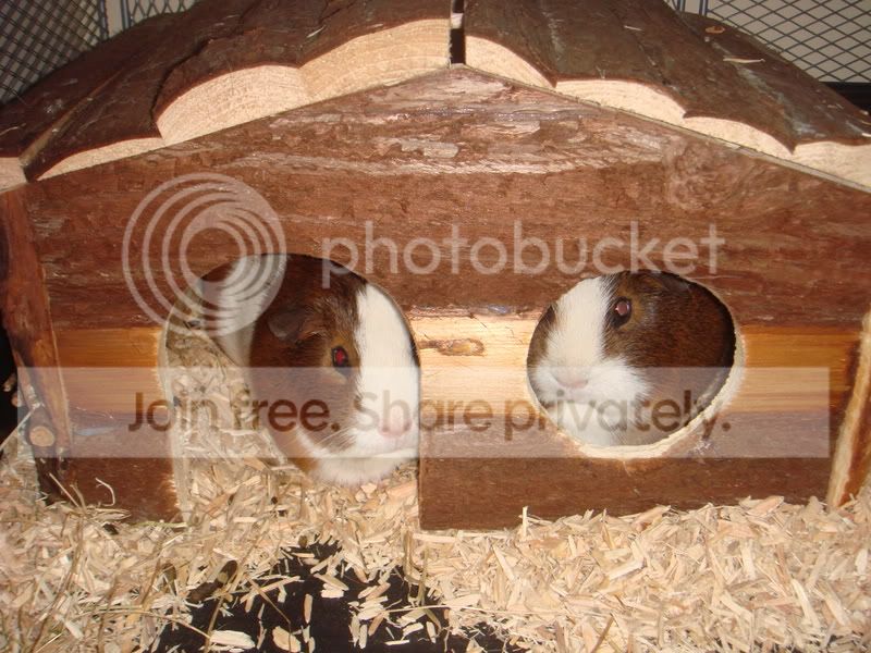 DSC04235.jpg