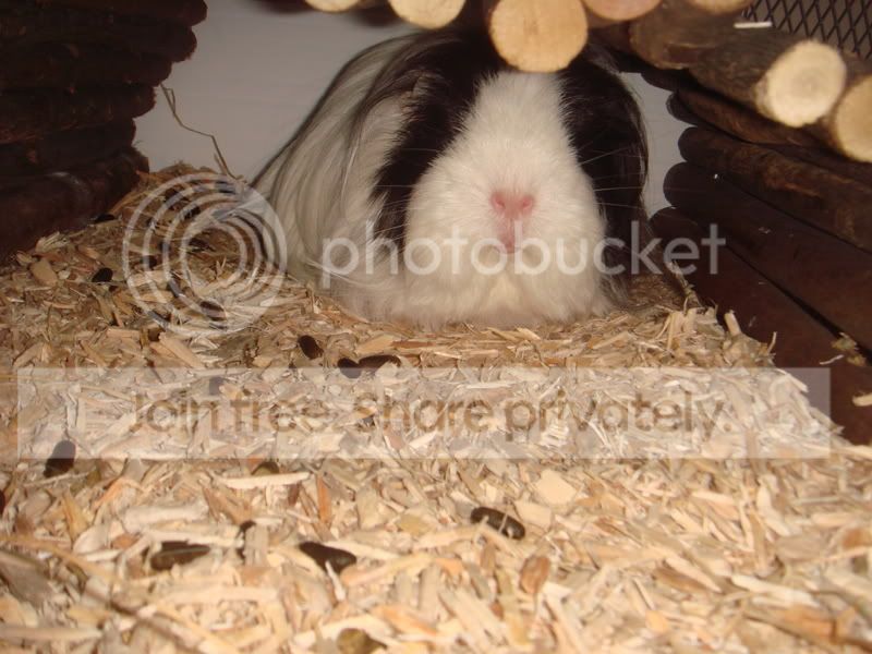 DSC04237.jpg