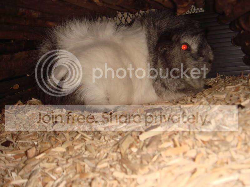 DSC04242.jpg