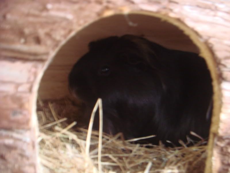 DSC04274.jpg