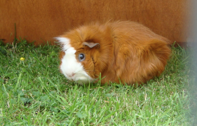 Picture16.png