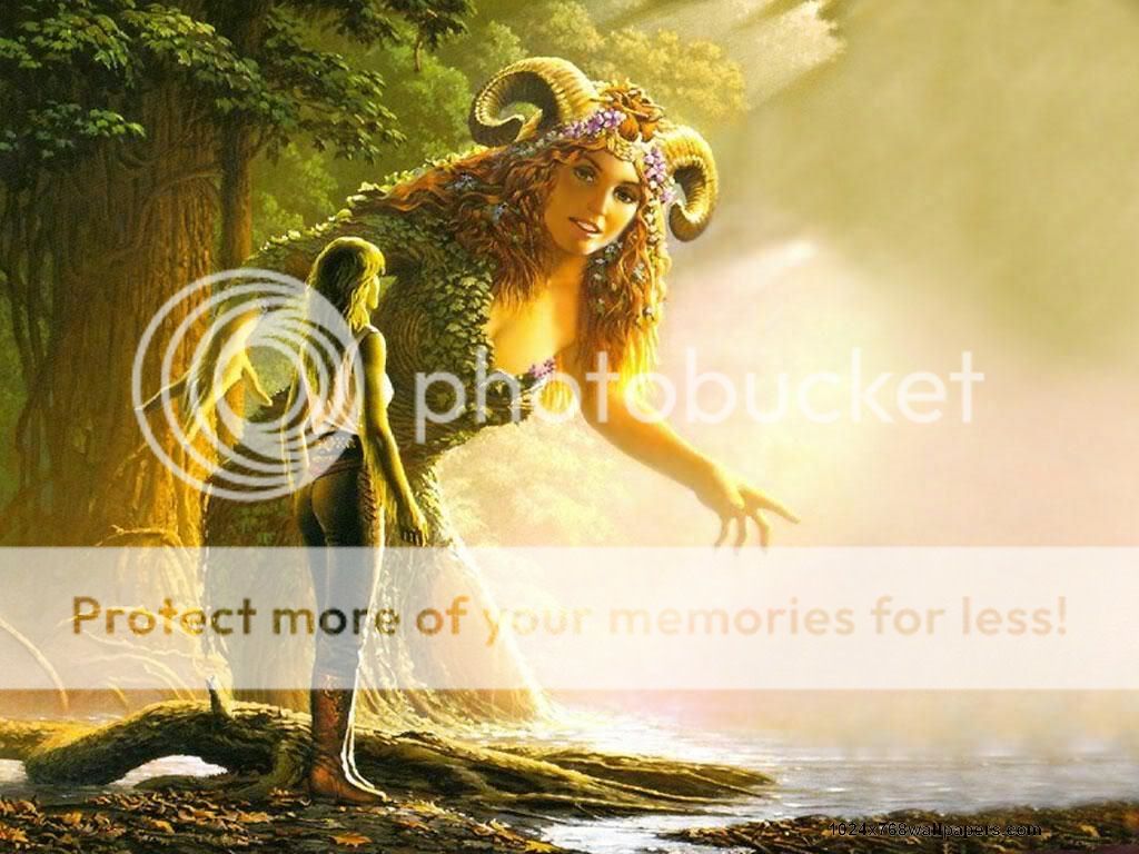 background Pictures, Images and Photos